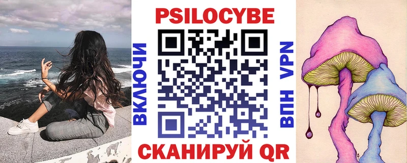 Псилоцибиновые грибы мухоморы  где купить наркоту  Суоярви 